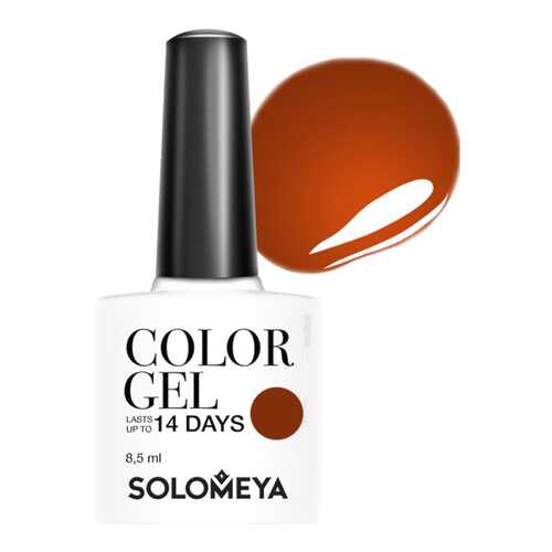 Гель-лак для ногтей Solomeya Color Gel Пряная корица в Парфюм-Лидер