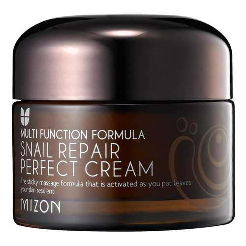 Крем для лица Mizon Snail Repair Perfect Cream 50 мл в Парфюм-Лидер