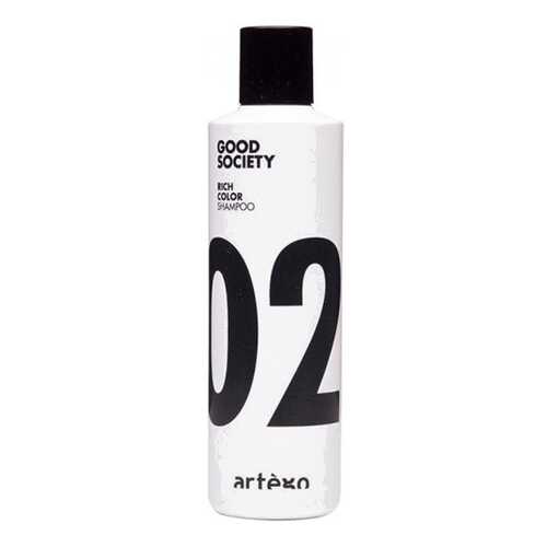 Шампунь Artego Rich Color Shampoo для Окрашенных Волос, 250 мл в Парфюм-Лидер